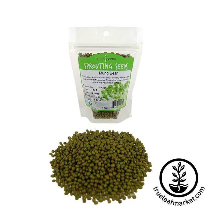 SEEDS: for germination: Mung Bean Oriental, 113g/pk