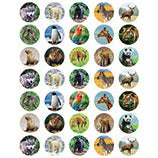 Zoo Stickers