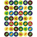Assorted Leaf Stickers