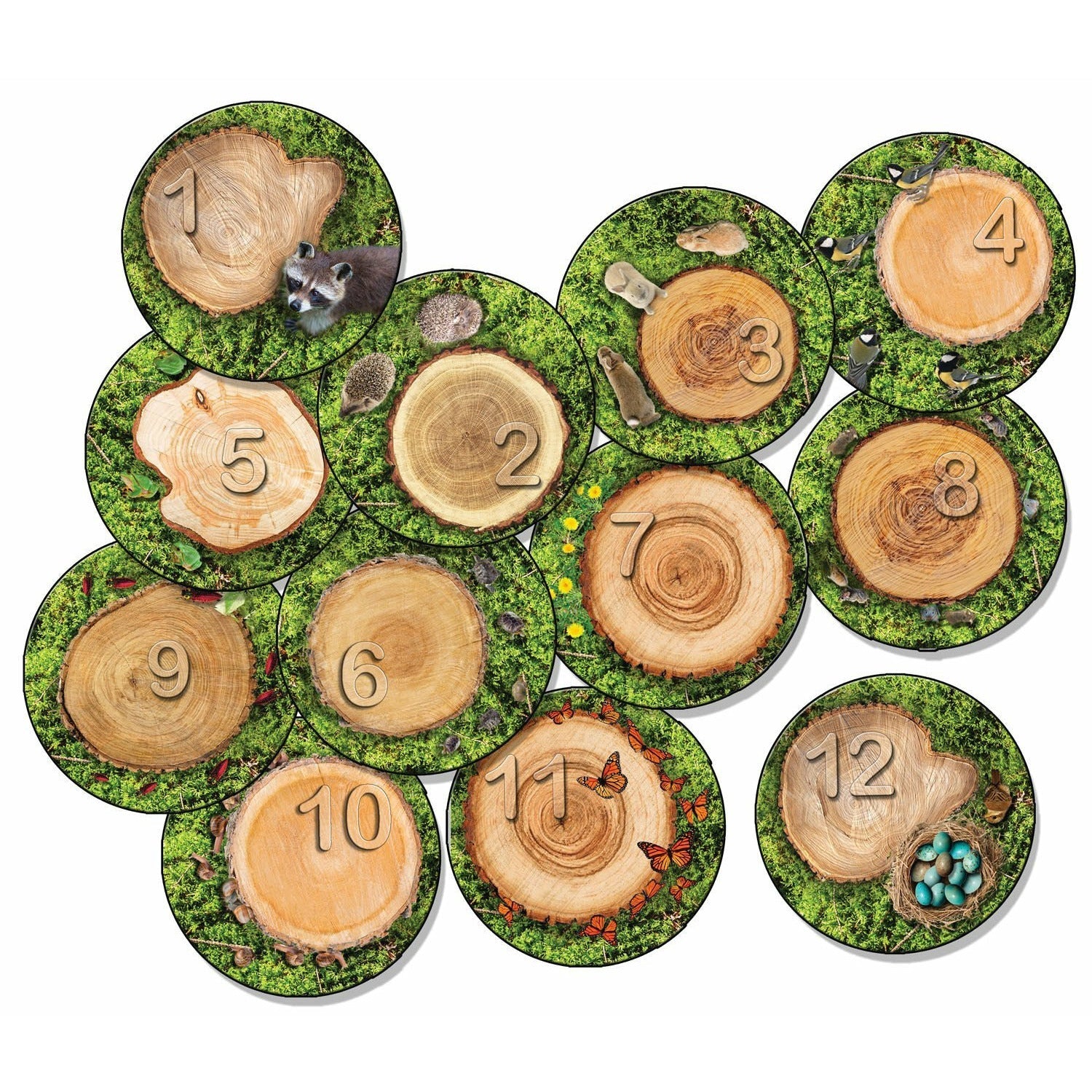 Forest Floor PhotoFun Stow-N-Go™ Counting Stumps