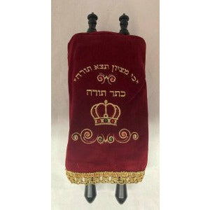 Sefer Torah for Kids